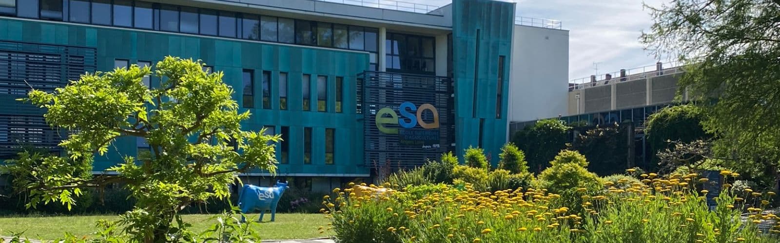 A blue building with the letters "ESA" sits behind a field of flowers and bushes. 